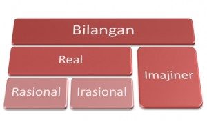 Bilangan Rasional dan Irasional