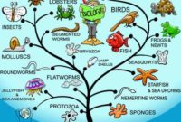 Kesimpulan Teori Darwin Tentang Seleksi Alam