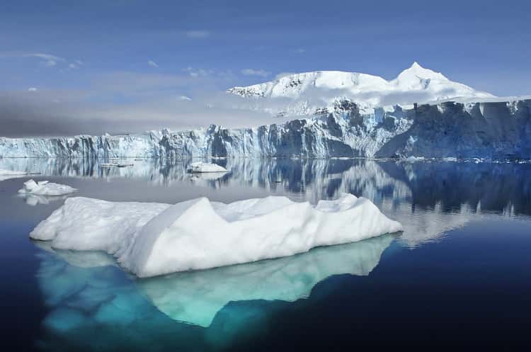 Misteri Kehidupan Di Benua Antartika : Ribuan Spesies di Kedalaman Danau ES