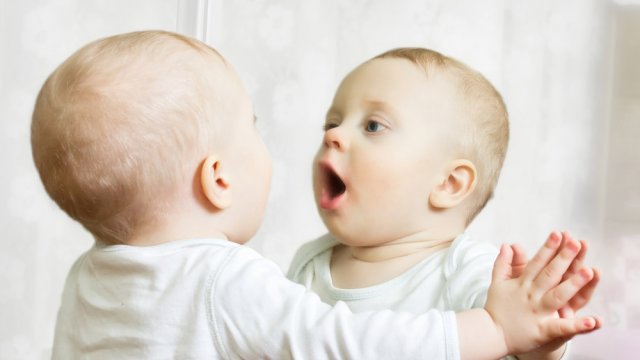 bayi belajar bicara umur berapa