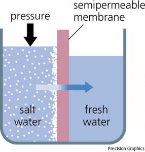 Reverse Osmosis/Osmosis Balik